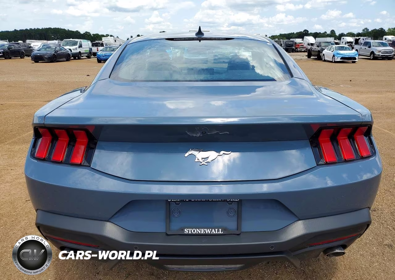 2025 Ford Mustang VIN:1FA6P8TH7S5116510 - 6