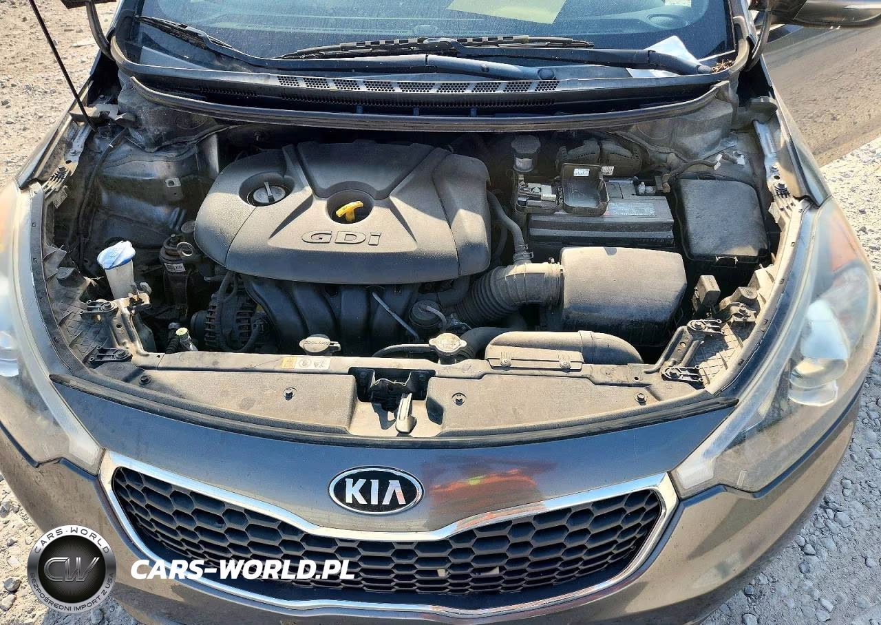 2014 Kia Forte Ex VIN:KNAFX4A84E5105522 - 11