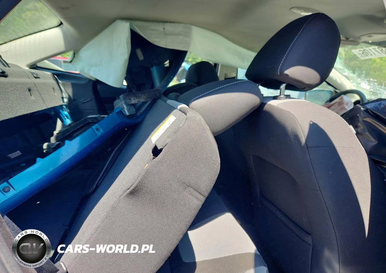 2014 Ford Focus Se VIN:1FADP3F28EL428496 - 10