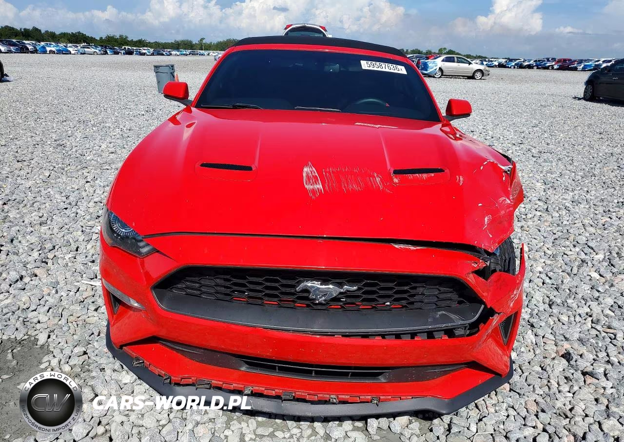 2020 Ford Mustang VIN:1FATP8UH5L5137696 - 5