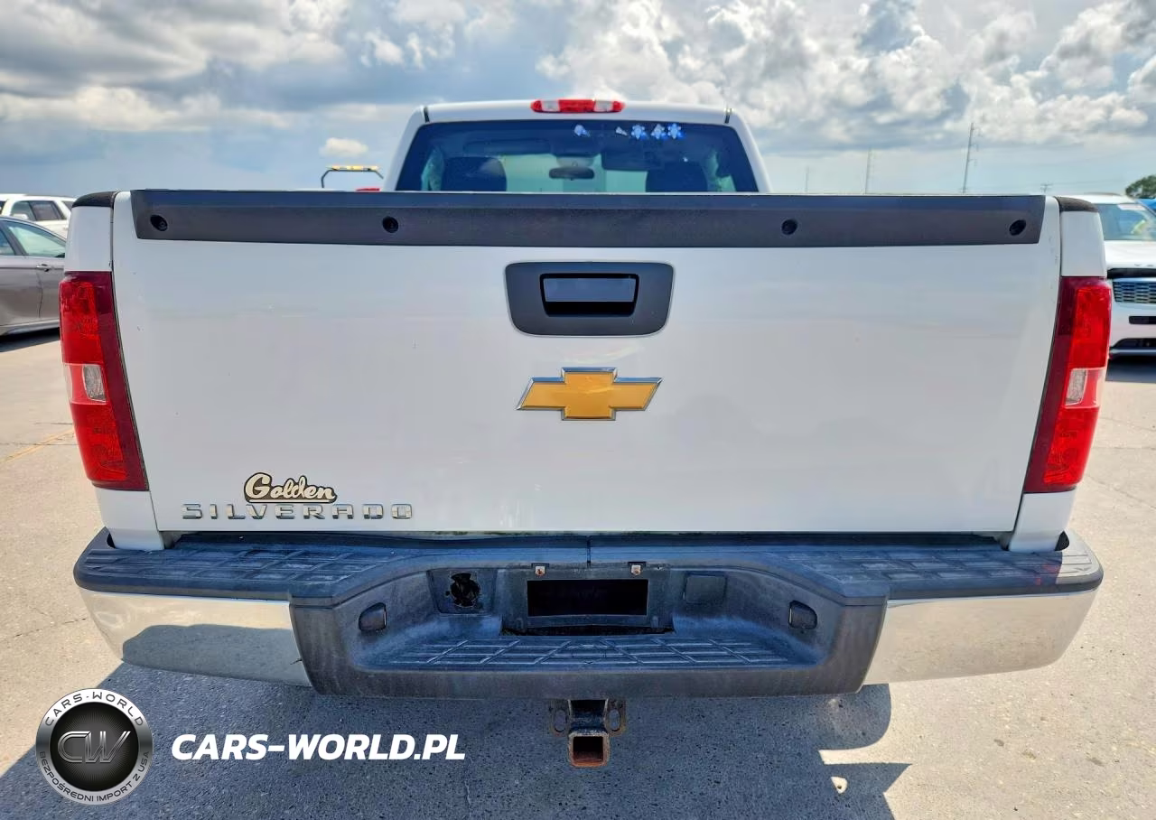 2012 Chevrolet Silverado C1500 VIN:1GCNCPEX9CZ308263 - 6