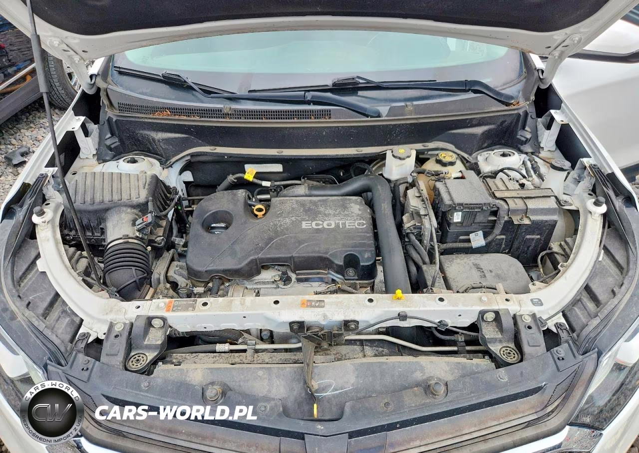 2019 Chevrolet Equinox Lt VIN:2GNAXKEV3K6292552 - 11