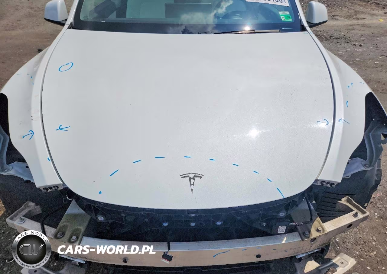 2020 Tesla Model Y VIN:5YJYGDEEXLF036245 - 11