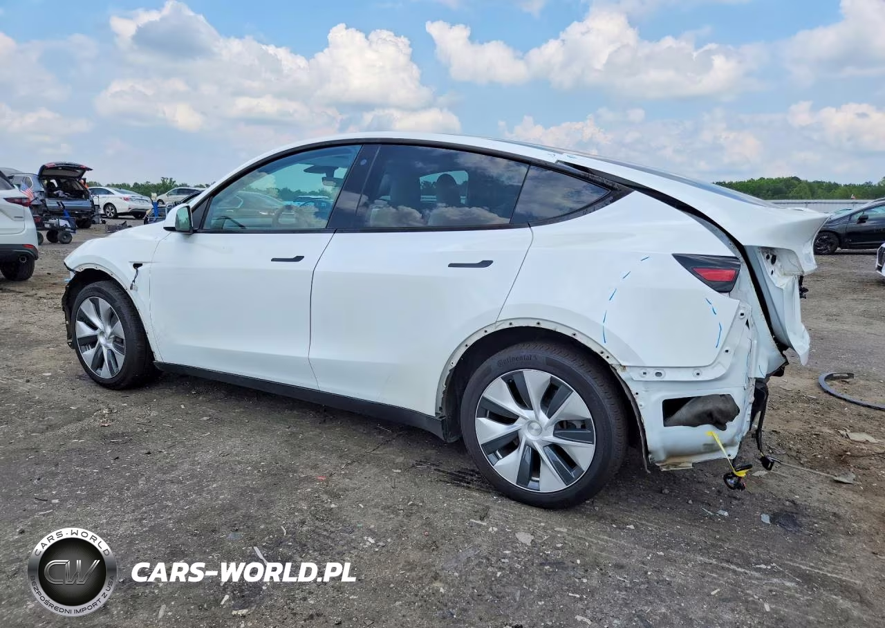 2020 Tesla Model Y VIN:5YJYGDEEXLF036245 - 2