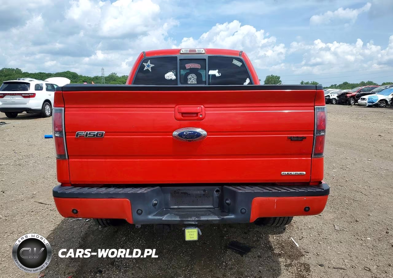 2011 Ford F150 Supercrew VIN:1FTFW1EF0BFA51462 - 6