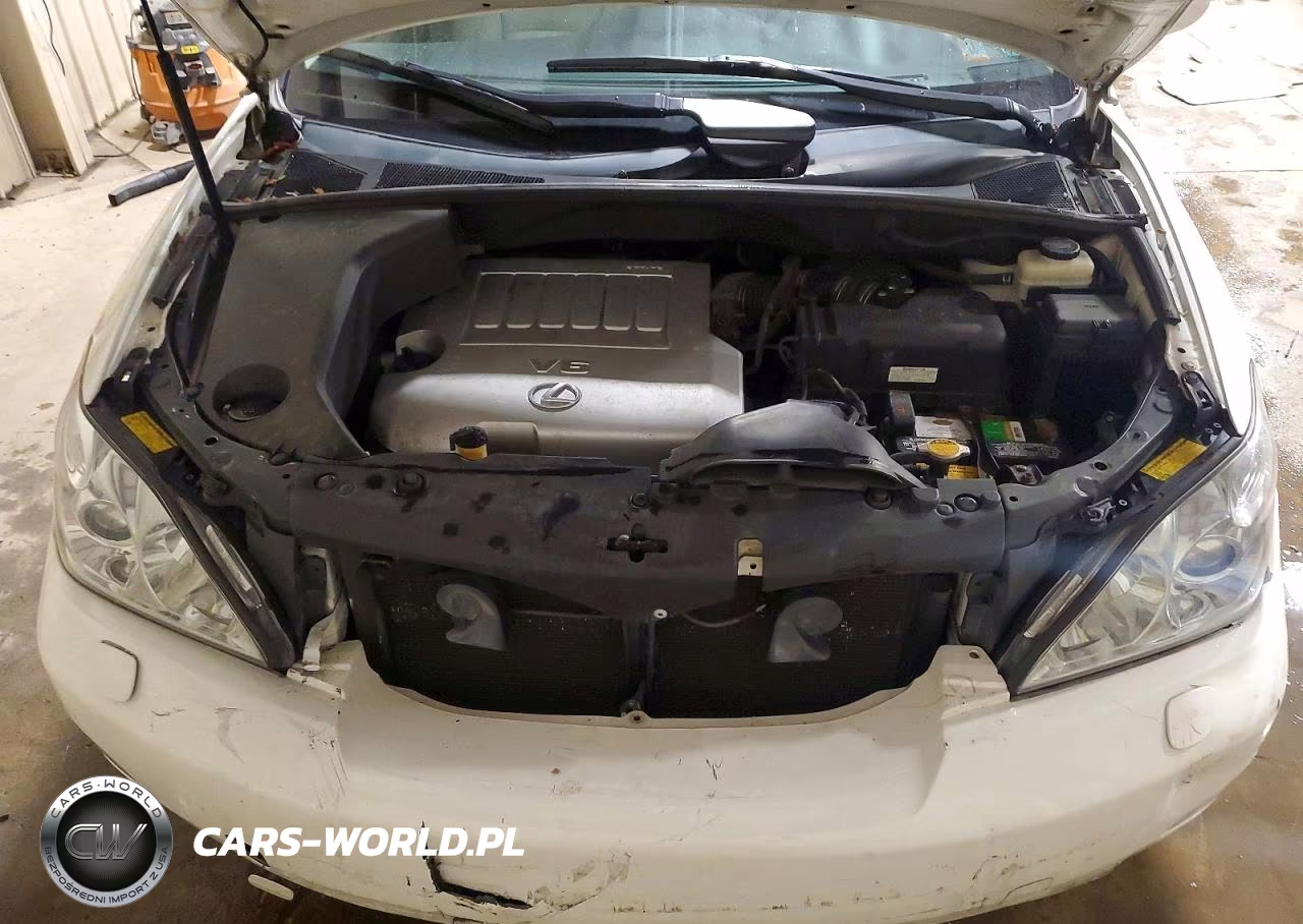 2009 Lexus Rx 350 VIN:2T2HK31U69C124675 - 12