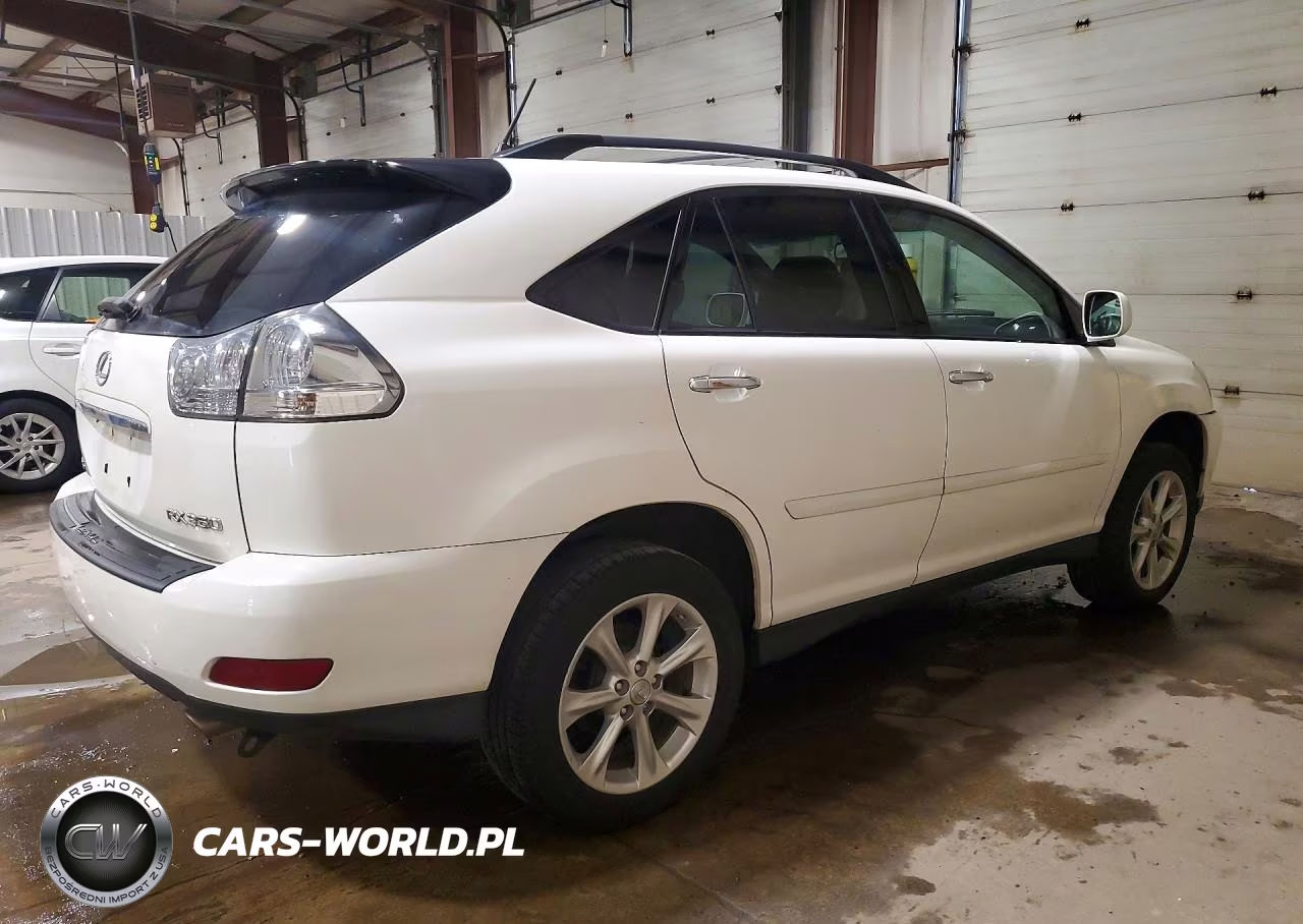 2009 Lexus Rx 350 VIN:2T2HK31U69C124675 - 3