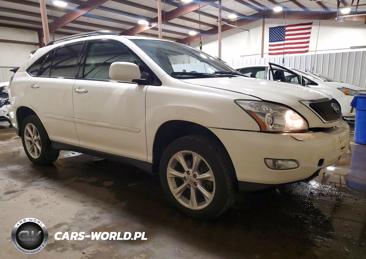 2009 Lexus Rx 350 VIN:2T2HK31U69C124675 - 4