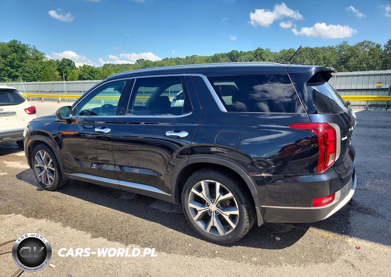 2020 Hyundai Palisade Sel VIN:KM8R3DHE4LU133228 - 2