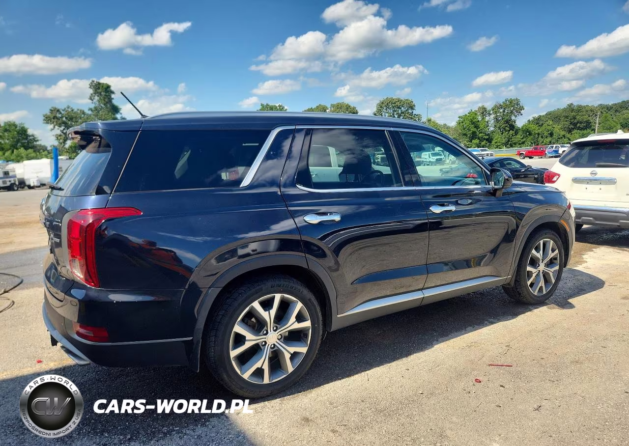 2020 Hyundai Palisade Sel VIN:KM8R3DHE4LU133228 - 3