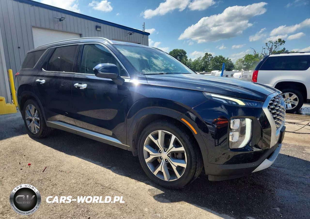 2020 Hyundai Palisade Sel VIN:KM8R3DHE4LU133228 - 4