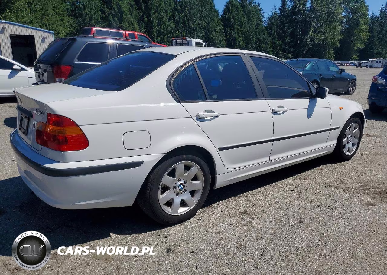 2010 BMW 3 Series VIN:WBAAZ33454KP87268 - 3