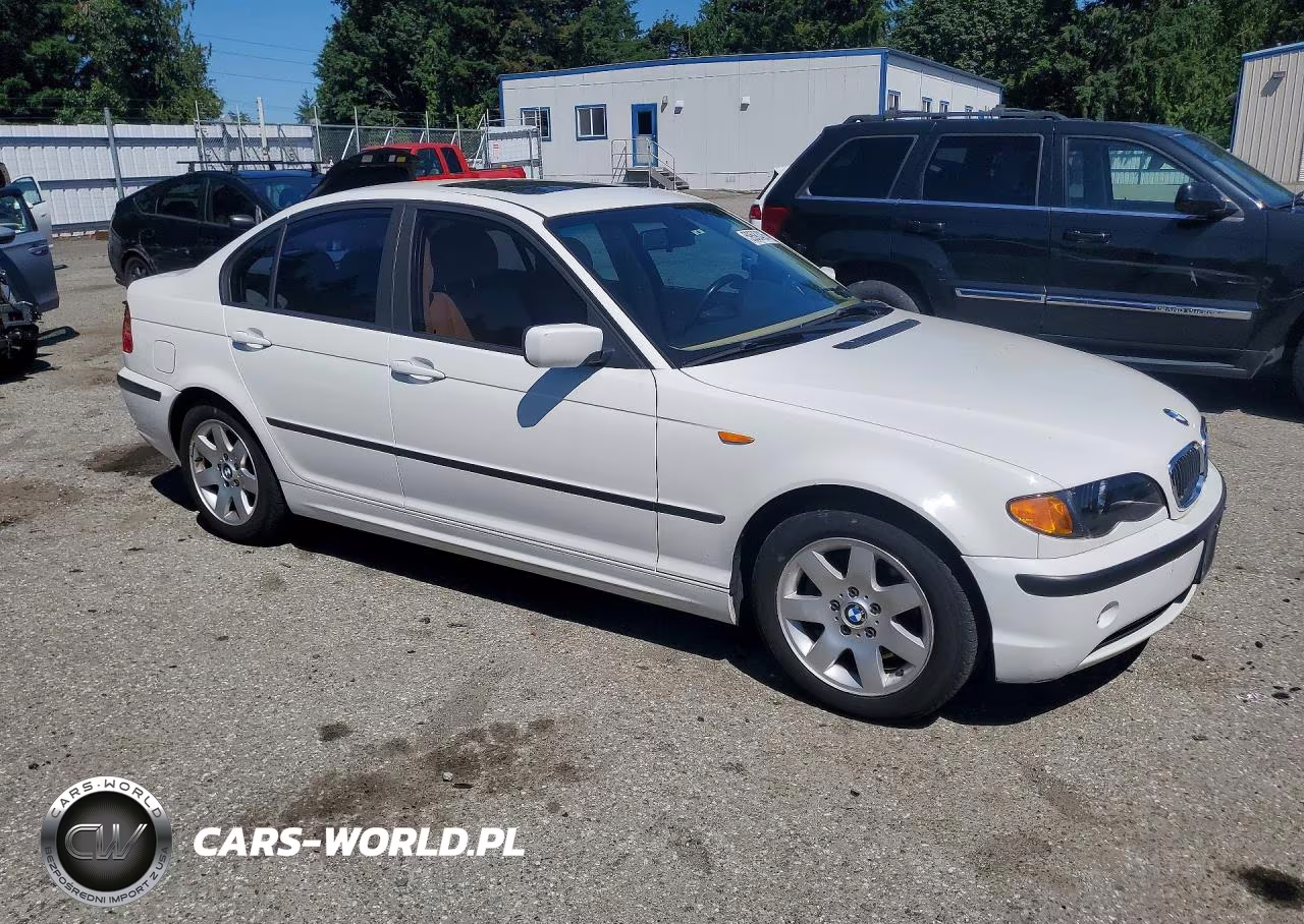 2010 BMW 3 Series VIN:WBAAZ33454KP87268 - 4