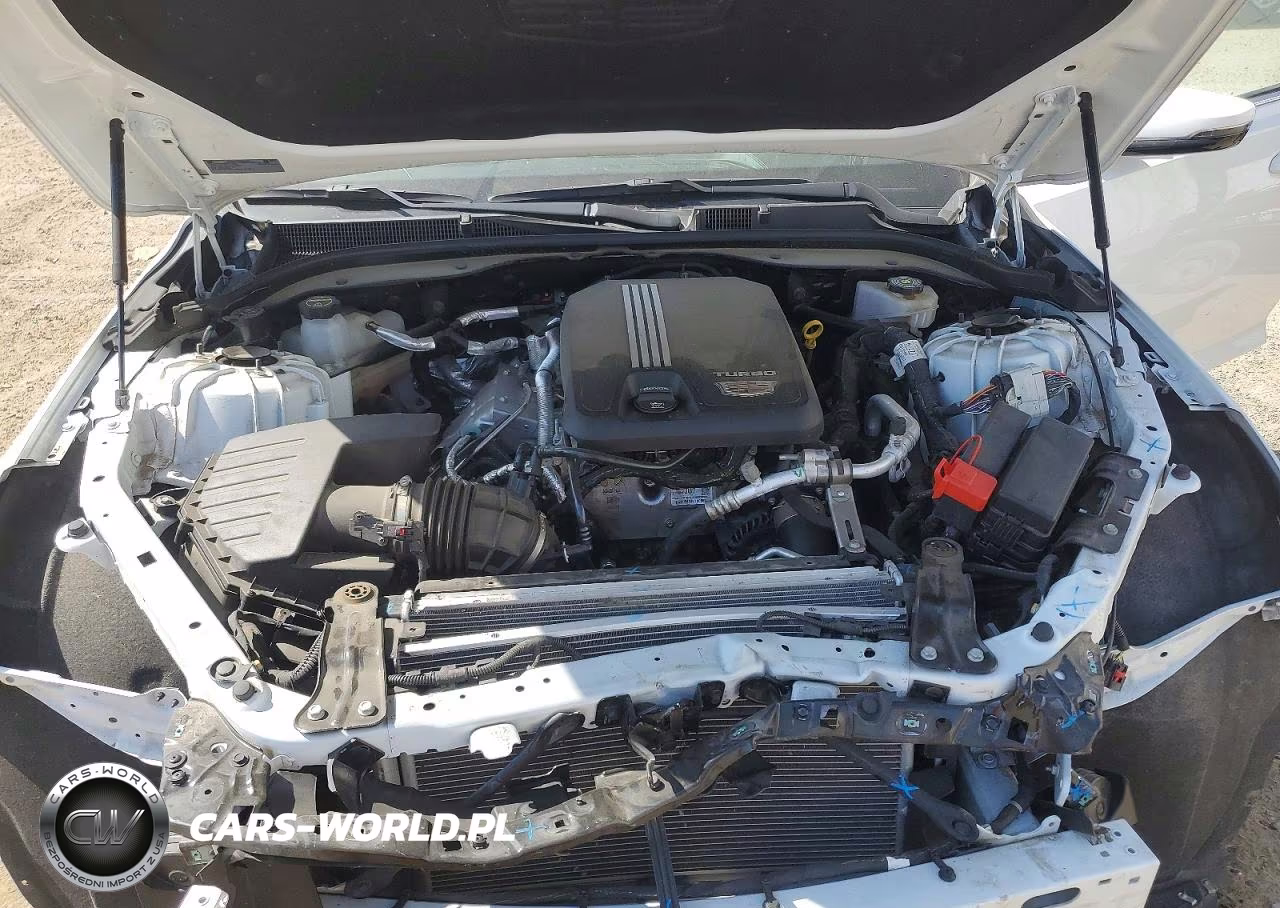 2024 Cadillac Ct5 Luxury VIN:1G6DX5RK2R0130442 - 11