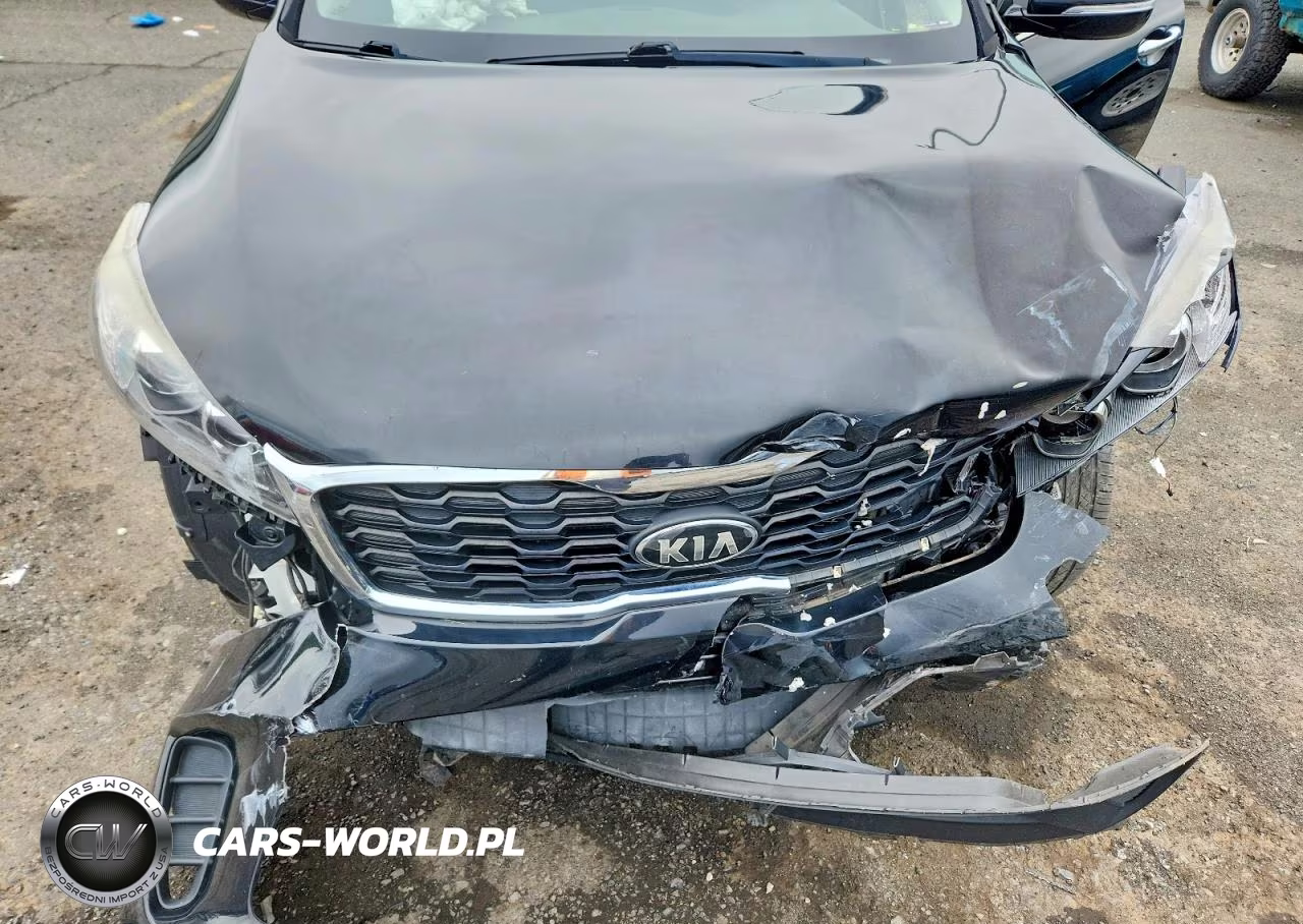 2019 Kia Sorento L VIN:5XYPG4A38KG575969 - 12