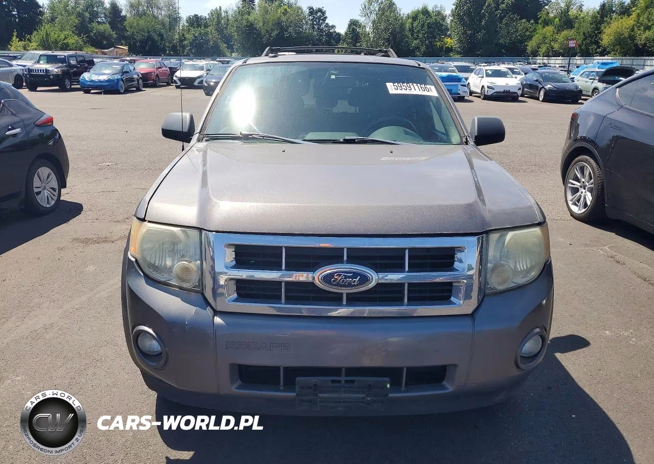 2009 Ford Escape VIN:1FMCU93GX9KB69597 - 5
