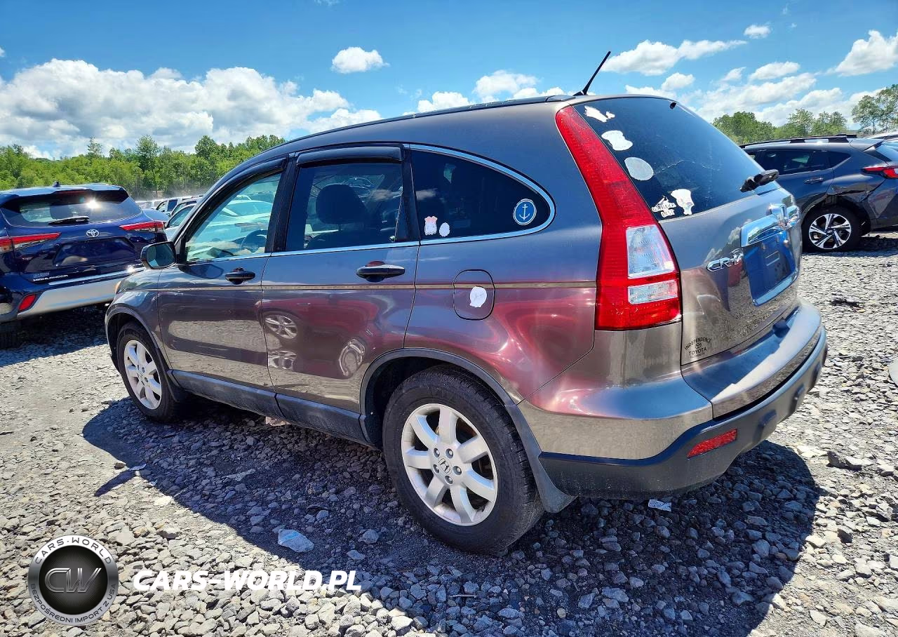 2009 Honda Cr-V Ex VIN:5J6RE48569L004463 - 2