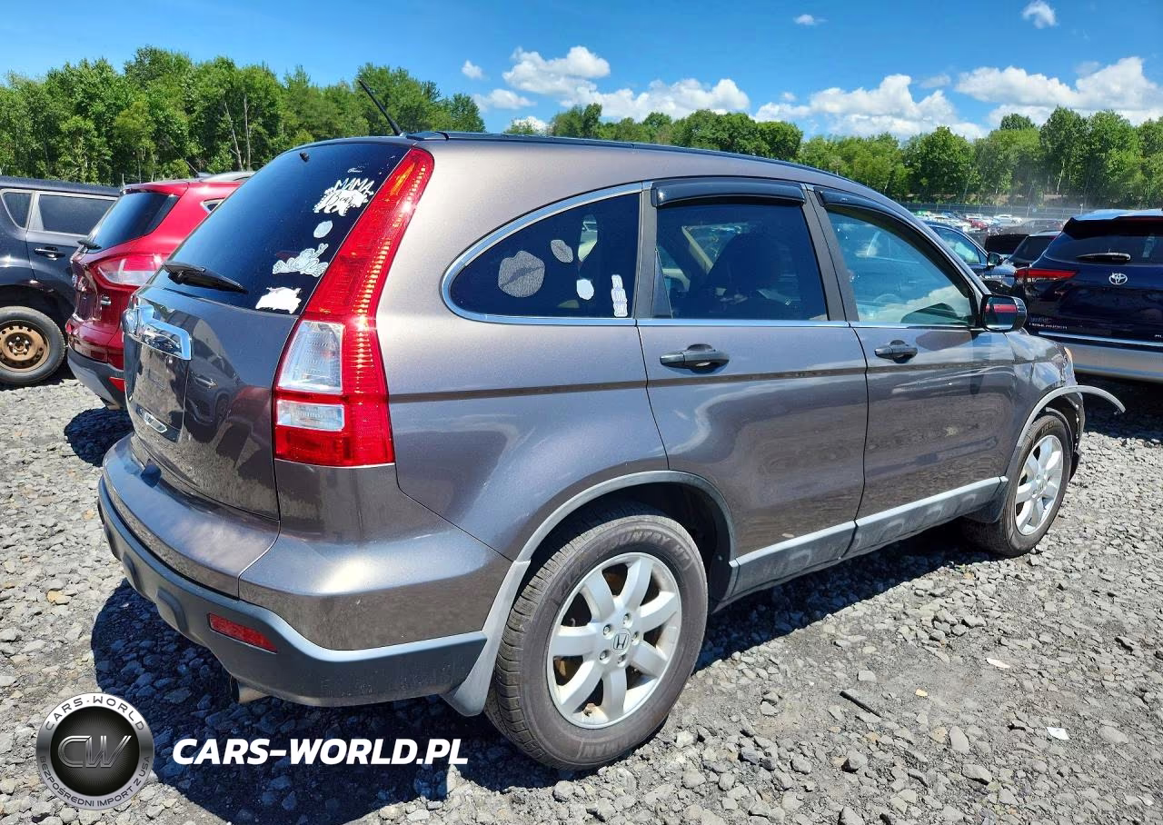 2009 Honda Cr-V Ex VIN:5J6RE48569L004463 - 3