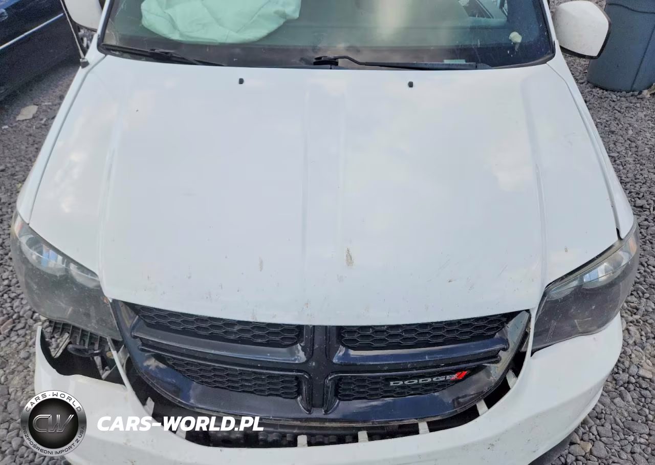2014 Dodge Grand Caravan Se VIN:2C4RDGBG0ER420885 - 12