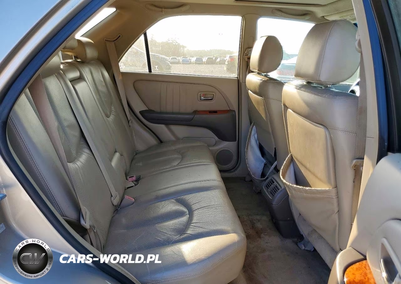 2002 Lexus Rx 300 VIN:JTJGF10U020147795 - 11
