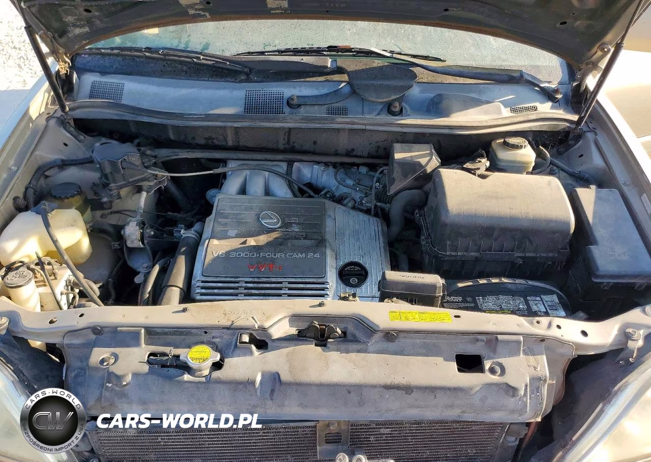 2002 Lexus Rx 300 VIN:JTJGF10U020147795 - 12