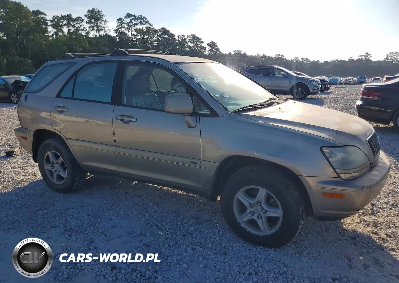 2002 Lexus Rx 300 VIN:JTJGF10U020147795 - 4