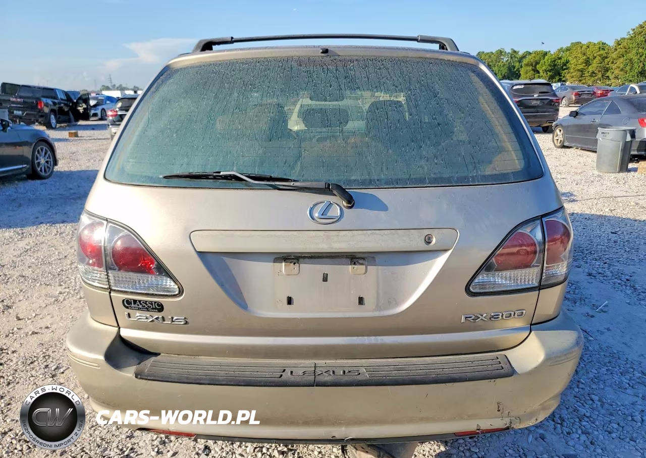 2002 Lexus Rx 300 VIN:JTJGF10U020147795 - 6