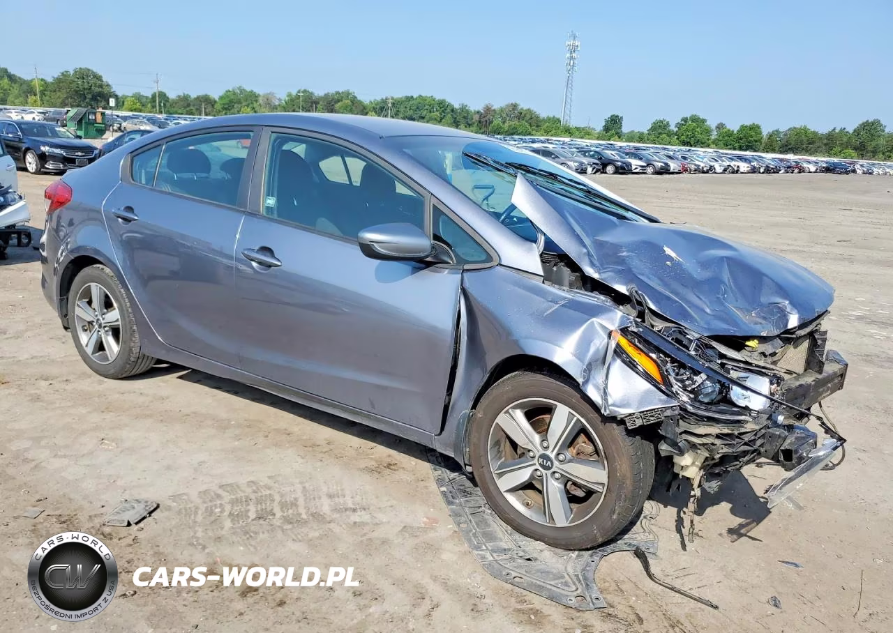2018 Kia Forte S VIN:3KPFL4A71JE250926 - 4