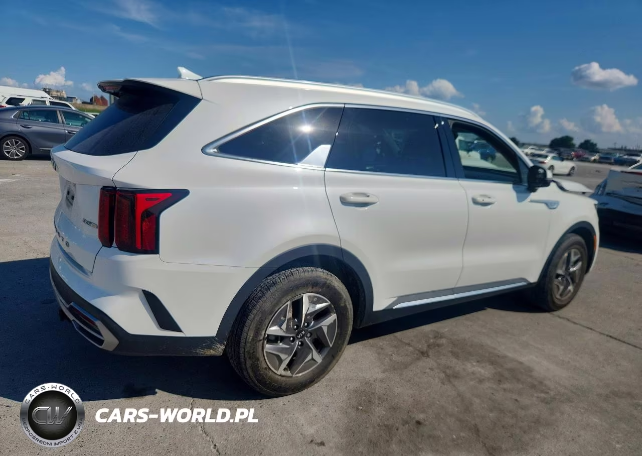 2021 Kia Sorento Ex VIN:KNDRH4LG4M5045614 - 3