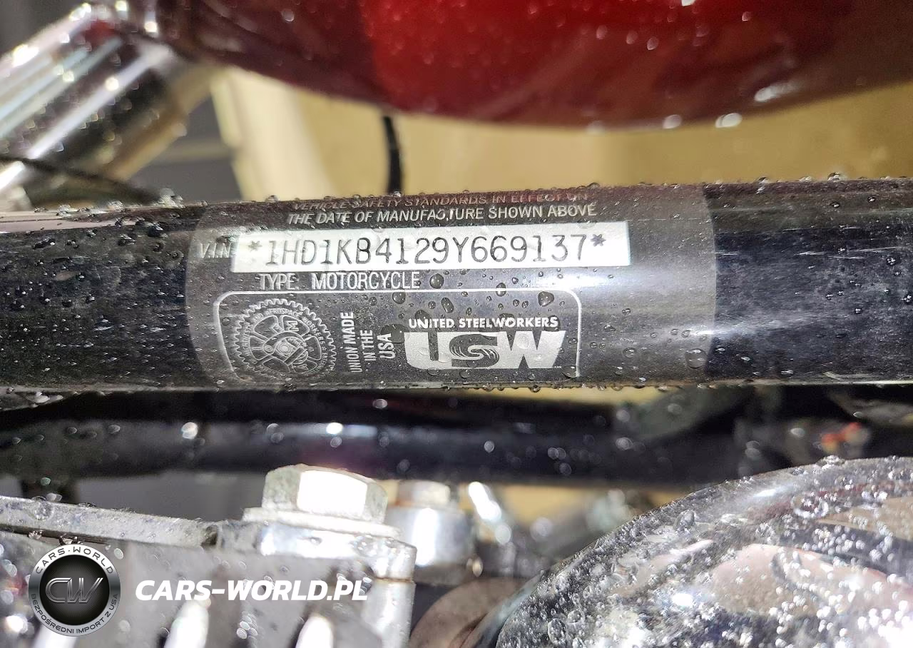 2009 Harley-Davidson Flhx VIN:1HD1KB4129Y669137 - 9