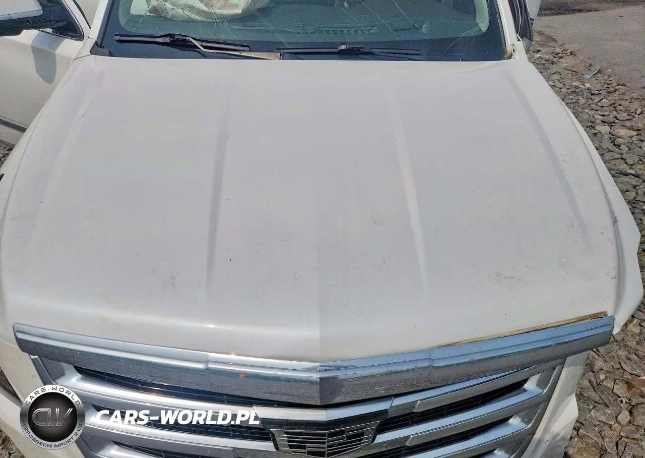 2016 Cadillac Escalade Esv Luxury VIN:1GYS4HKJXGR356117 - 12