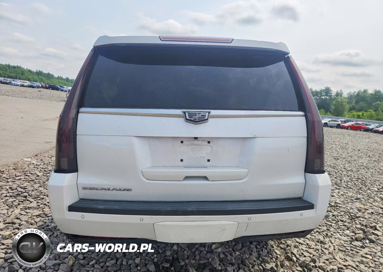 2016 Cadillac Escalade Esv Luxury VIN:1GYS4HKJXGR356117 - 6