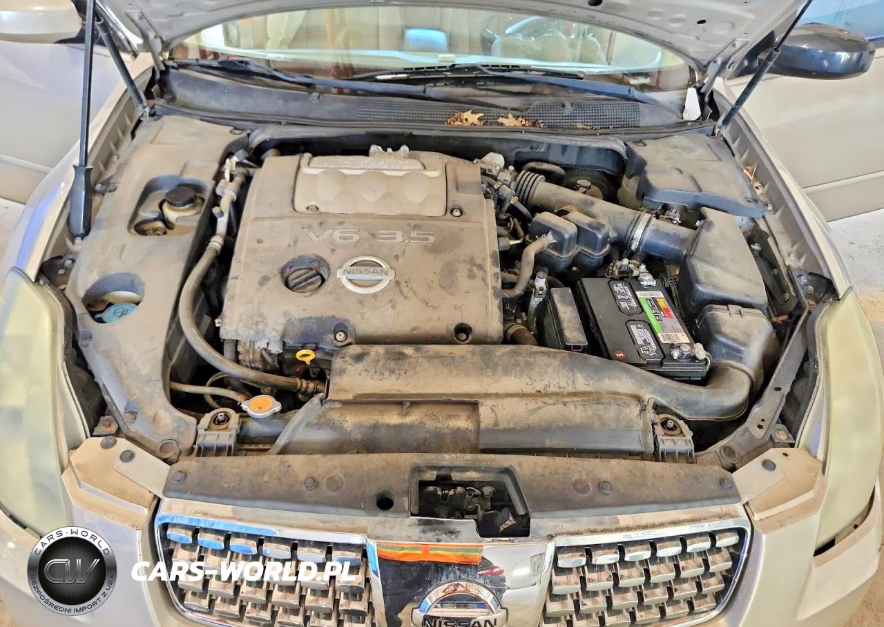 2006 Nissan Maxima 3.5 Se VIN:1N4BA41E56C845737 - 11