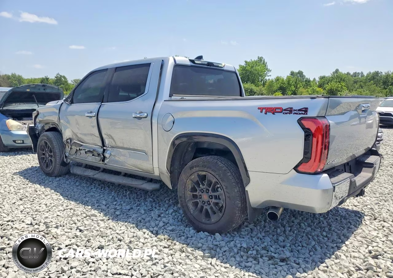 2025 Toyota Tundra VIN:5TFMA5DB5SX335501 - 2
