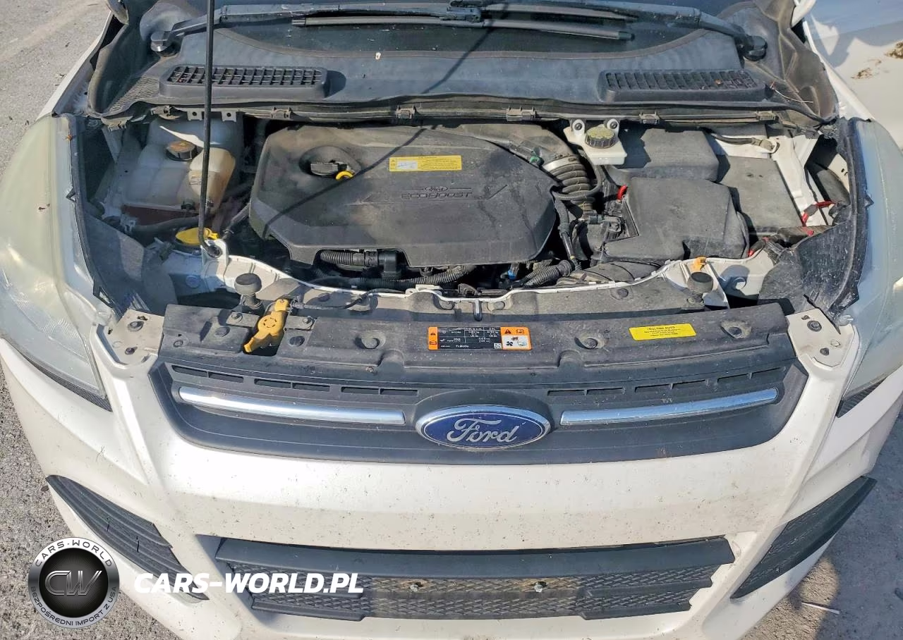 2013 Ford Escape Se VIN:1FMCU9GX9DUC55104 - 12