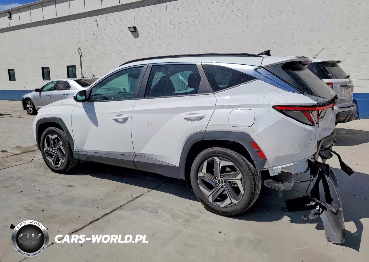 2023 Hyundai Tucson Sel VIN:5NMJFCAE3PH234383 - 2