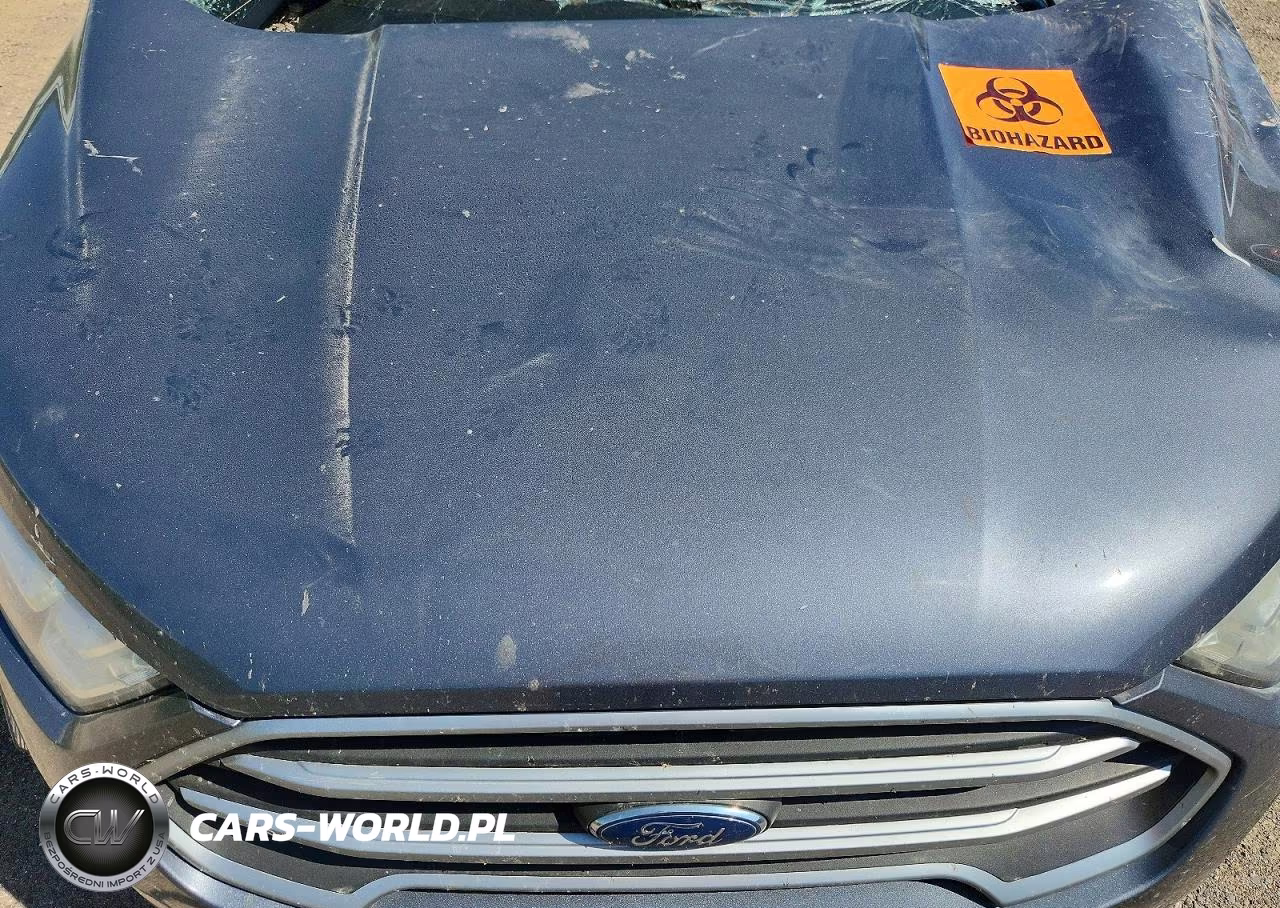 2018 Ford Ecosport Se VIN:MAJ6P1UL5JC227982 - 12