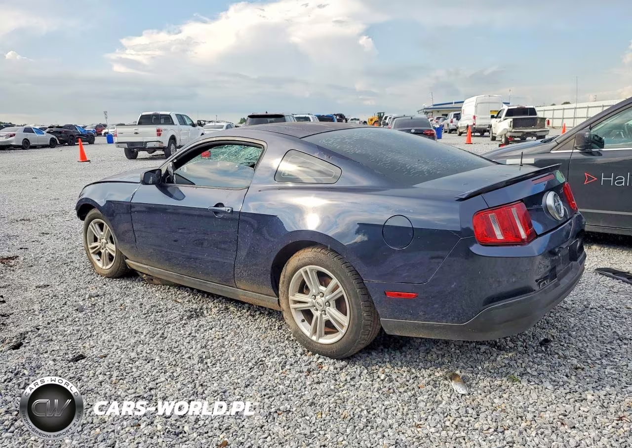 2010 Ford Mustang VIN:1ZVBP8ANXA5146968 - 2