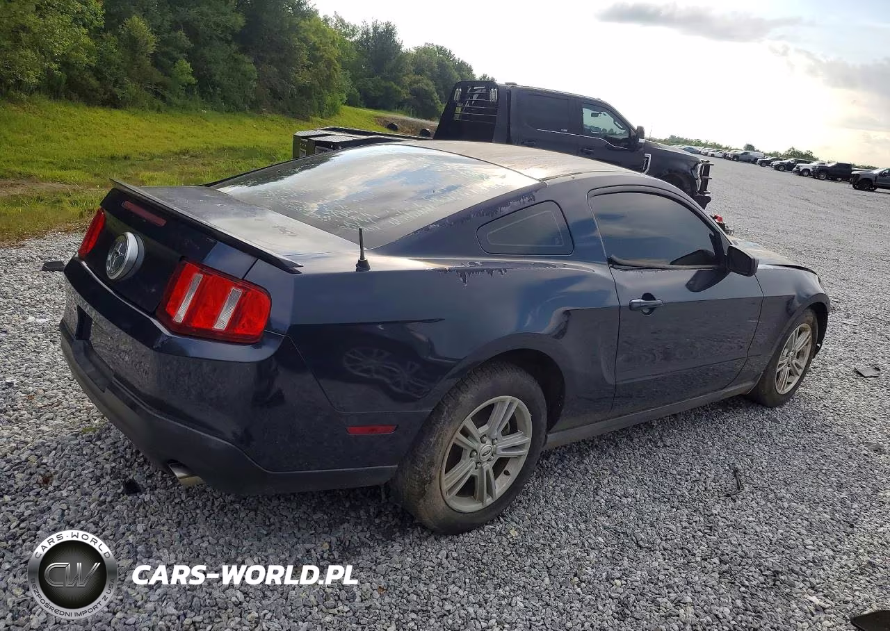 2010 Ford Mustang VIN:1ZVBP8ANXA5146968 - 3