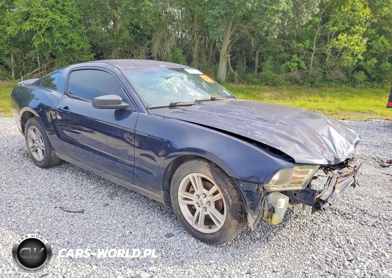 2010 Ford Mustang VIN:1ZVBP8ANXA5146968 - 4