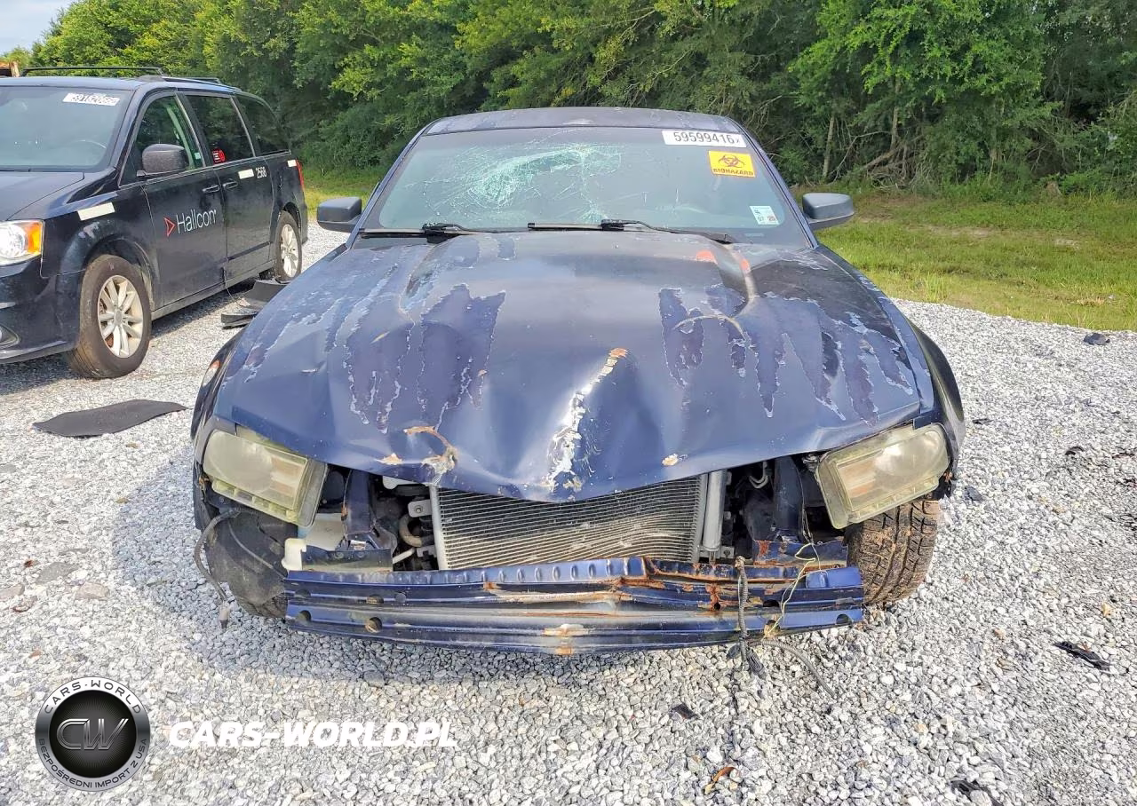2010 Ford Mustang VIN:1ZVBP8ANXA5146968 - 5