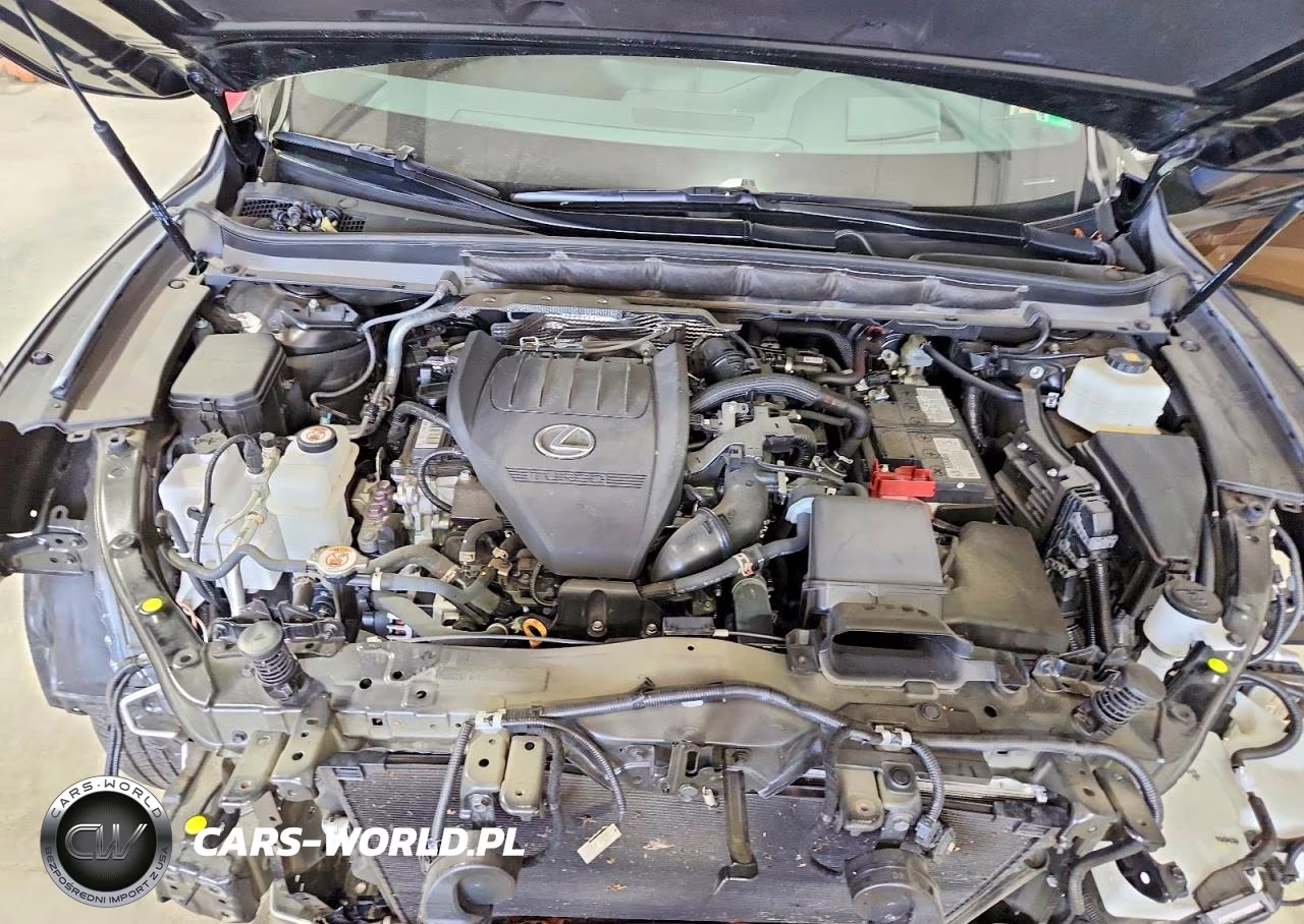 2023 Lexus Rx 350 Luxury VIN:2T2BAMCA2PC034549 - 12