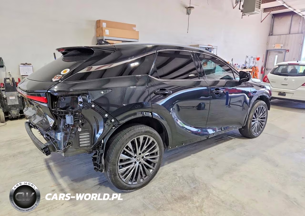 2023 Lexus Rx 350 Luxury VIN:2T2BAMCA2PC034549 - 3