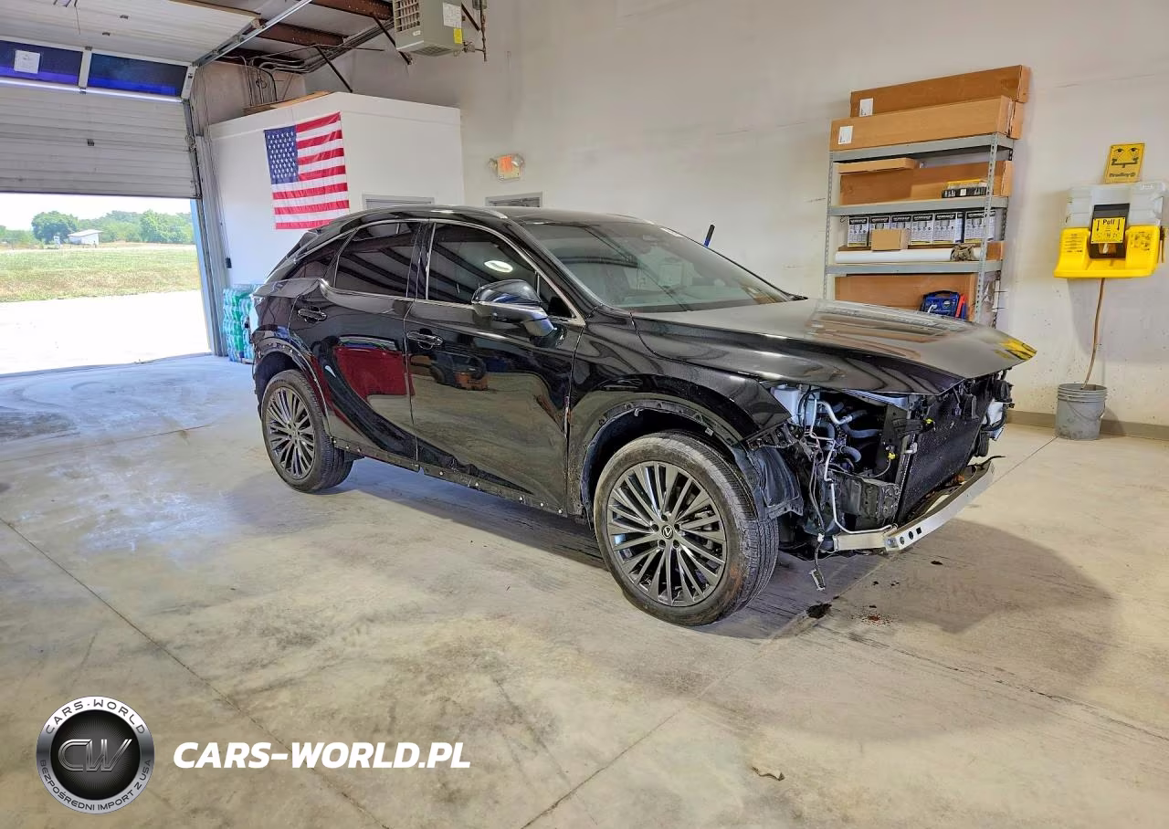 2023 Lexus Rx 350 Luxury VIN:2T2BAMCA2PC034549 - 4