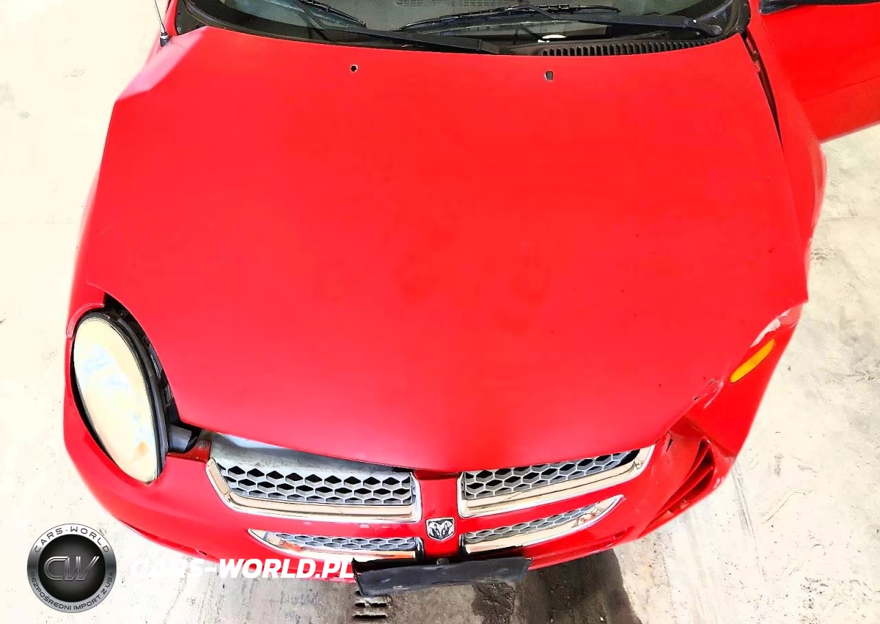 2005 Dodge Neon Sxt VIN:1B3ES56C05D197283 - 11
