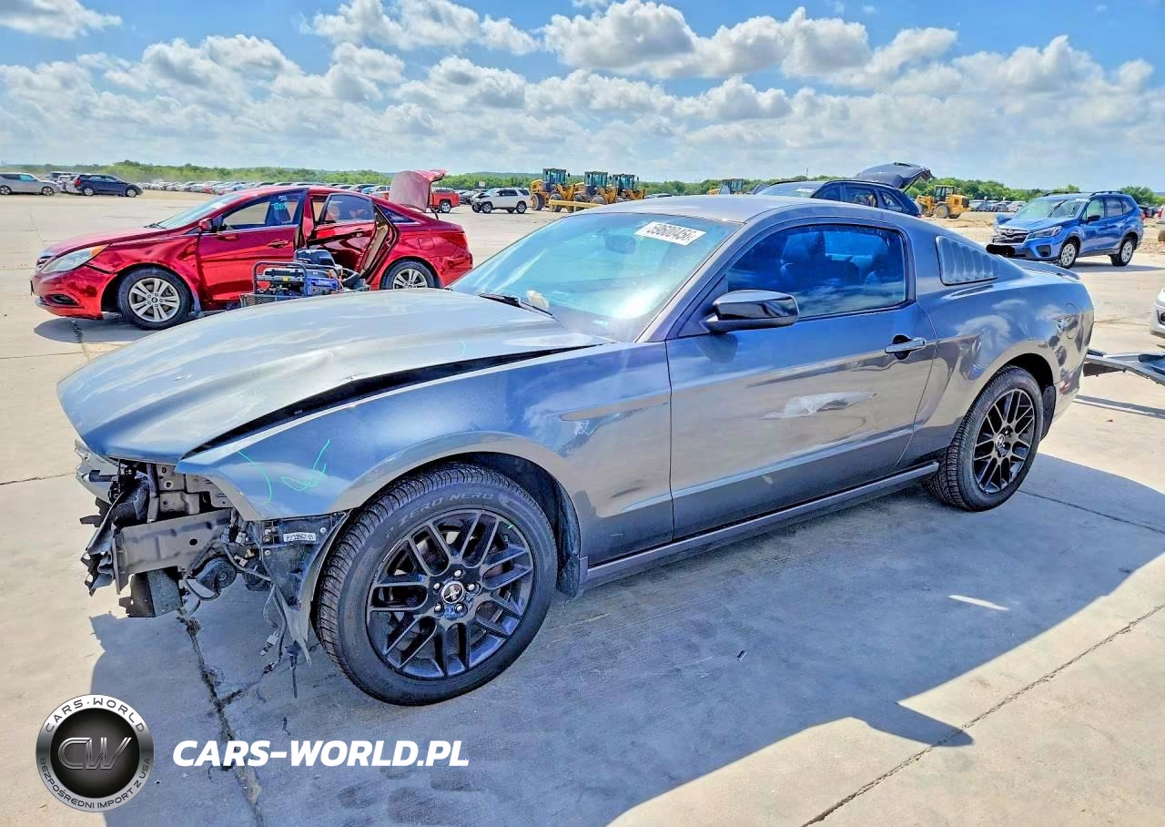 2014 Ford Mustang – zdjęcie 1 z 13