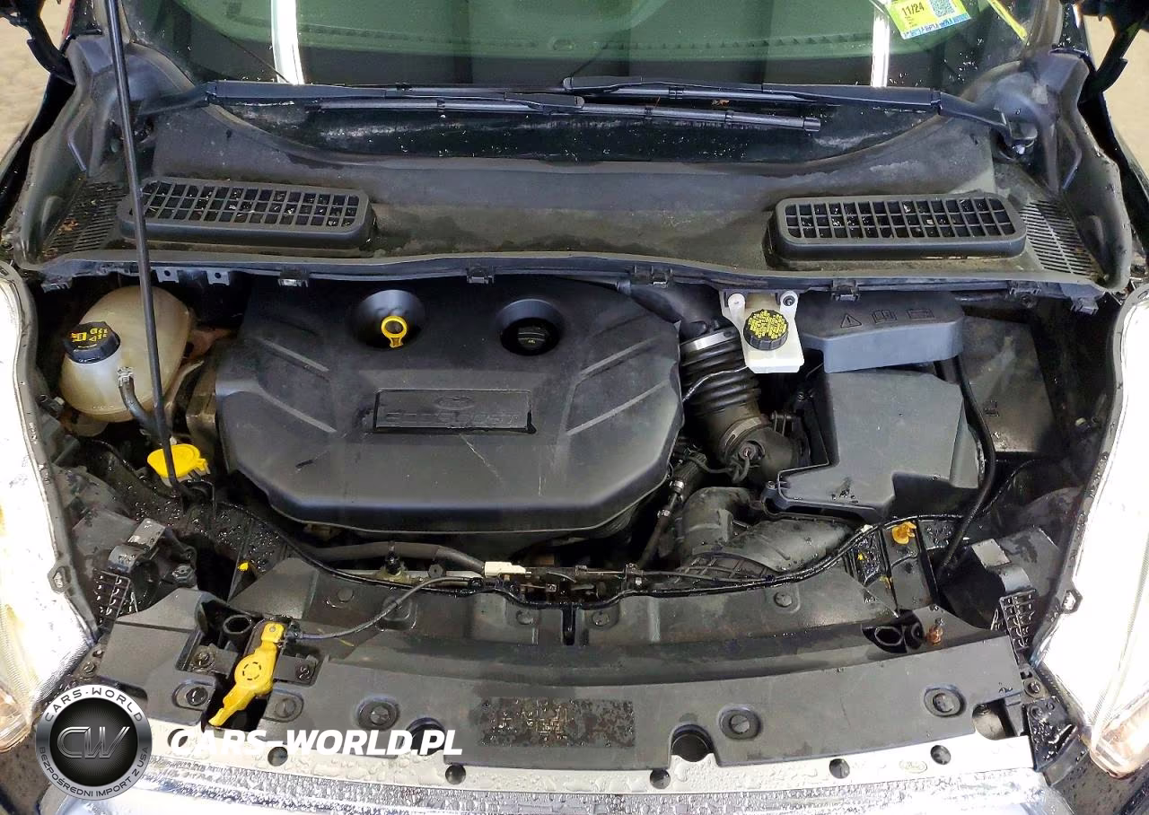 2017 Ford Escape VIN:1FMCU9G97HUE79107 - 12