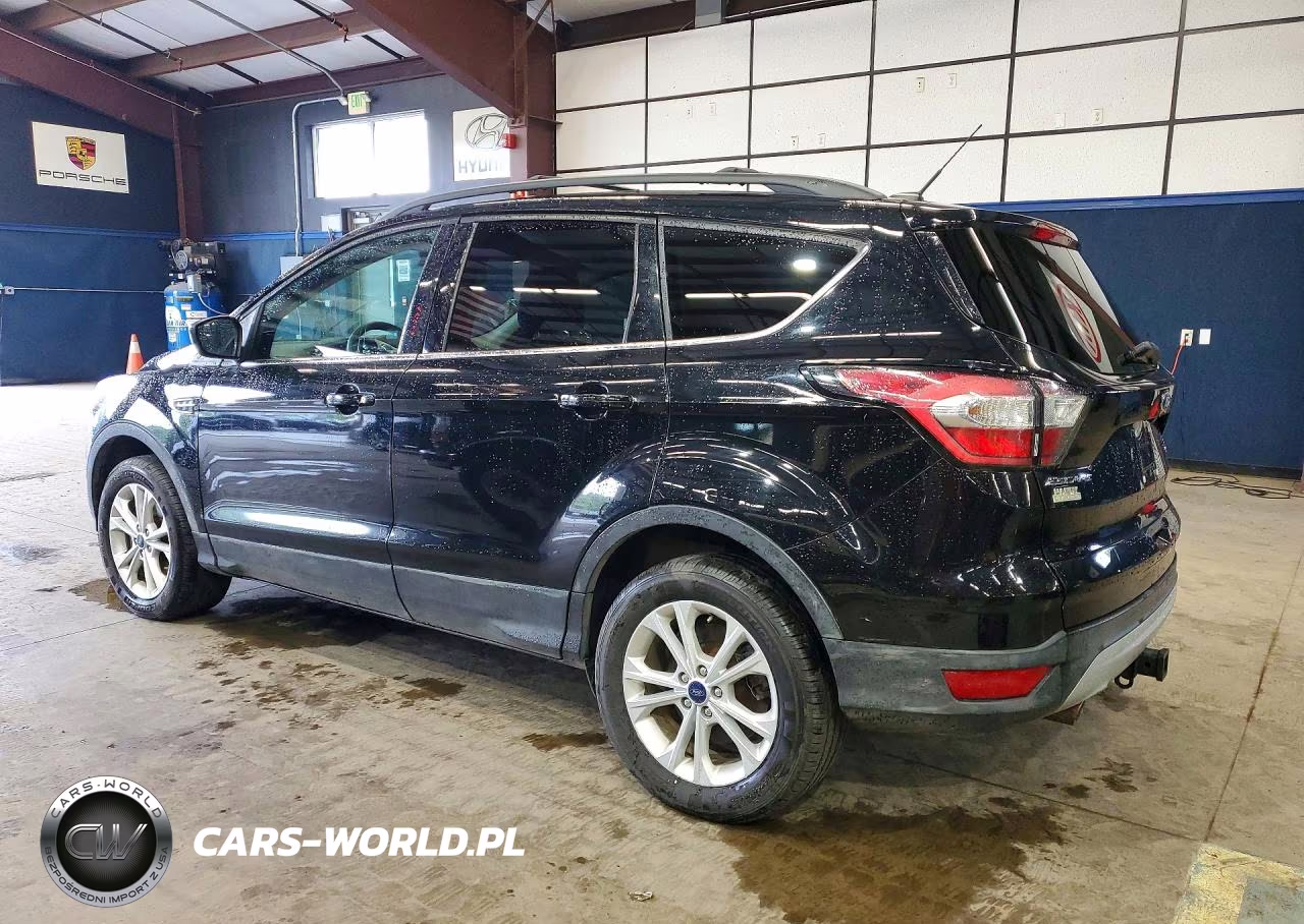 2017 Ford Escape VIN:1FMCU9G97HUE79107 - 2