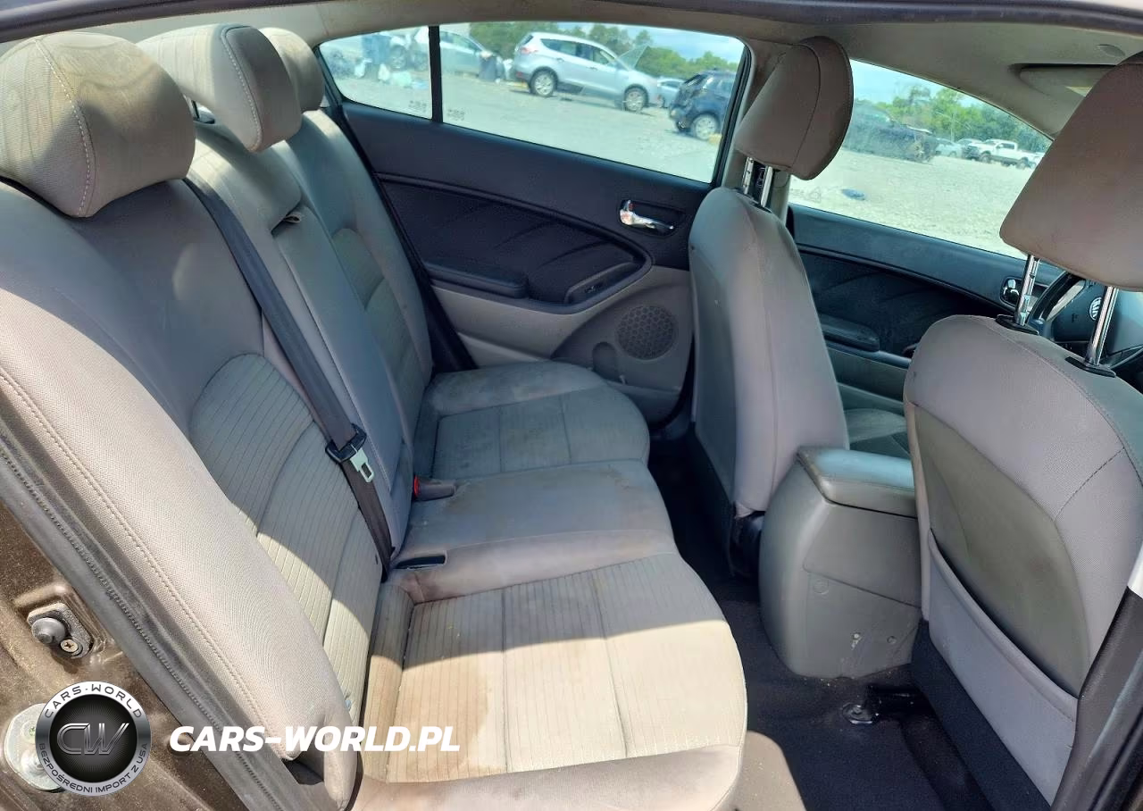 2015 Kia Forte Lx VIN:KNAFX4A62F5315648 - 10