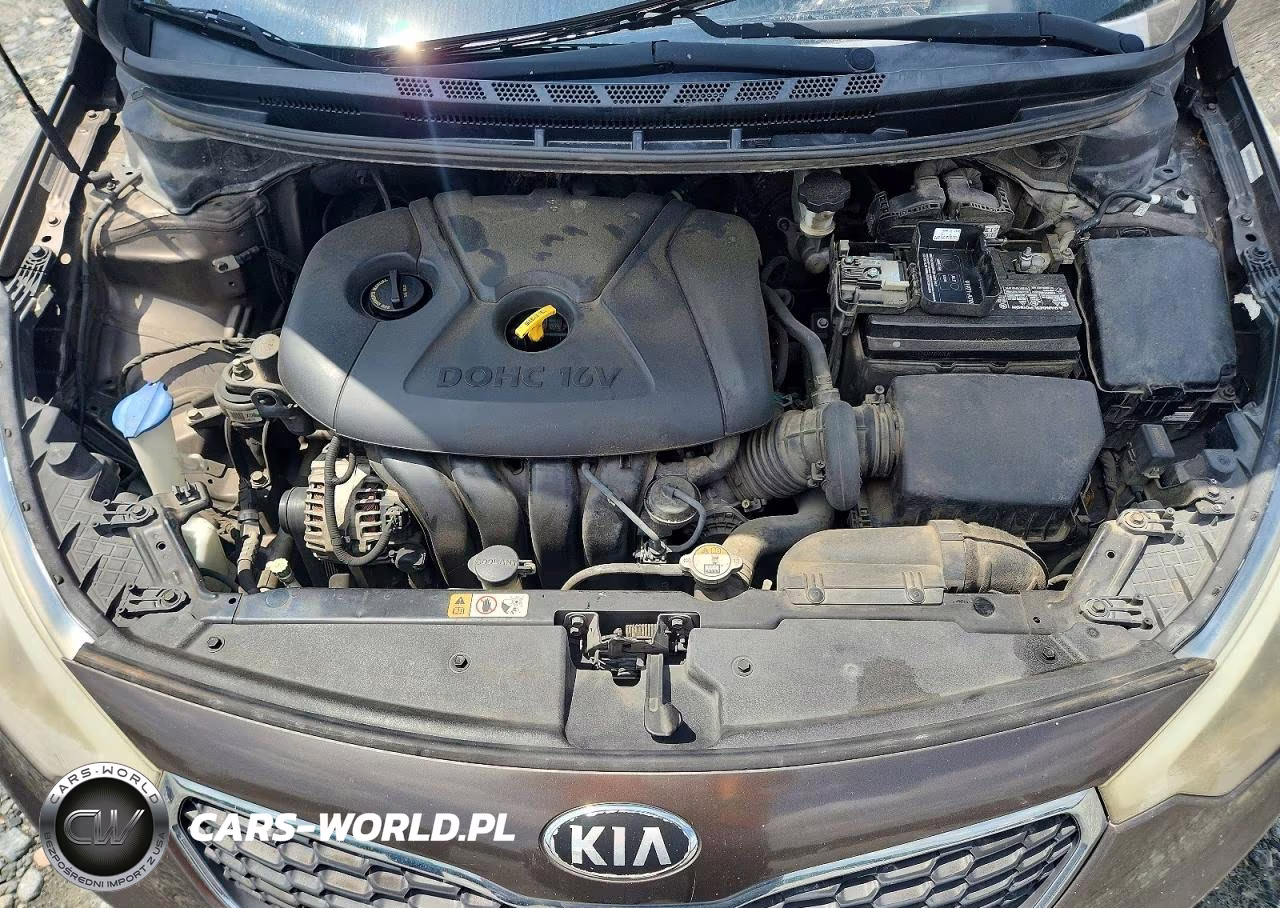 2015 Kia Forte Lx VIN:KNAFX4A62F5315648 - 11